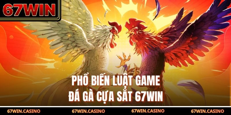 Phổ biến luật game đá gà cựa sắt 67WIN Phổ biến luật game đá gà cựa sắt 67WIN