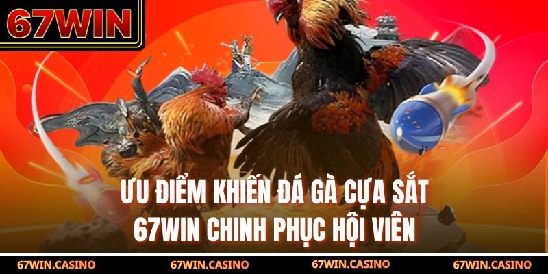 Ưu điểm khiến đá gà cựa sắt 67WIN chinh phục hội viên Ưu điểm khiến đá gà cựa sắt 67WIN chinh phục hội viên
